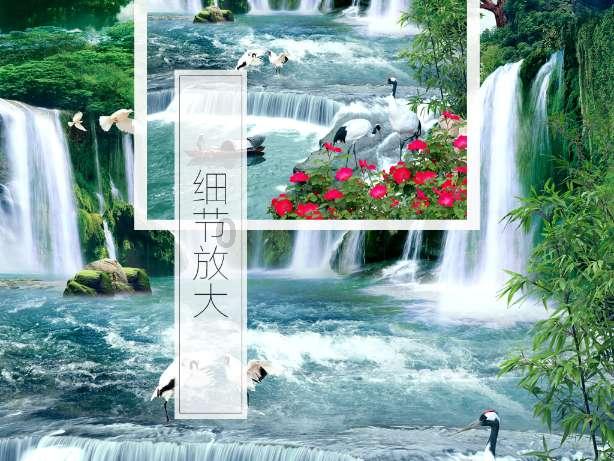 腐草化萤