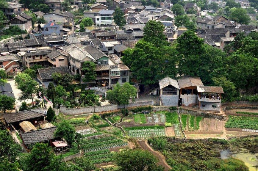段元诚客家菜的烹饪艺术之旅